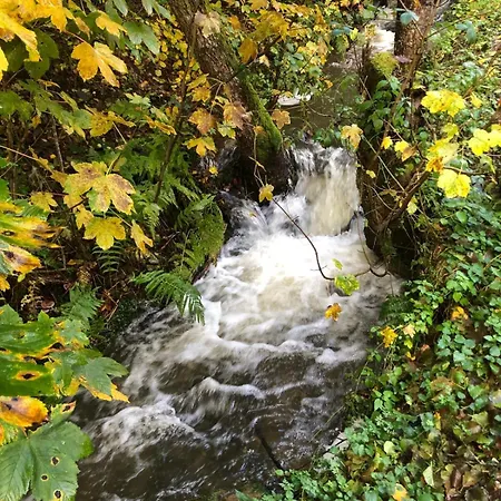 Naehe Hambachtal *